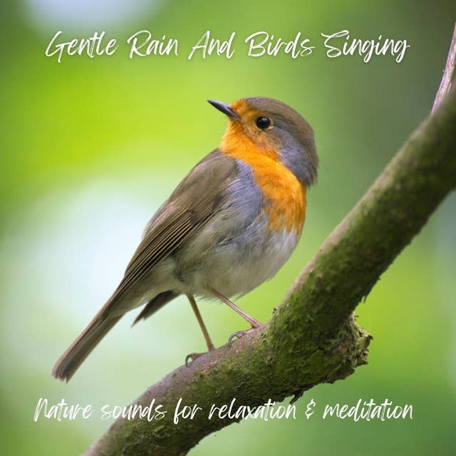 Gentle Rain and Birds Singing - Pure Nature Sounds for Relaxation & Meditation