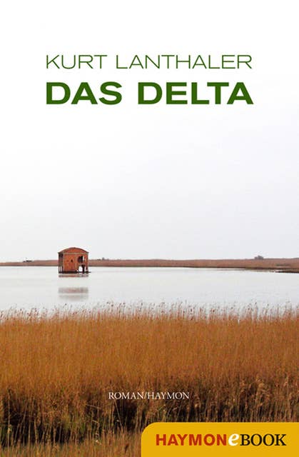 Das Delta: Roman