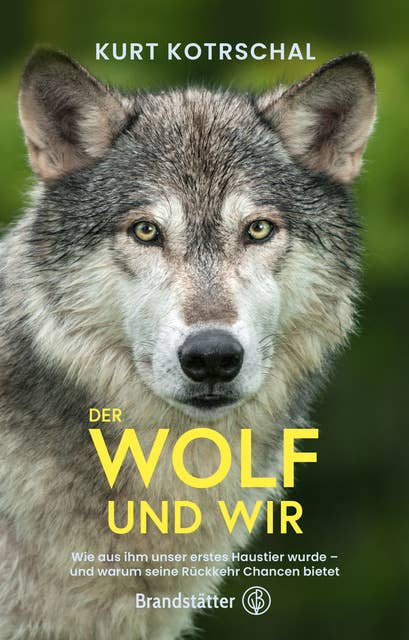Der Wolf und wir: Wie aus ihm unser erstes Haustier wurde – und warum seine Rückkehr Chancen bietet