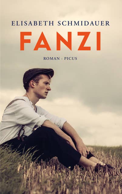 Fanzi: Roman