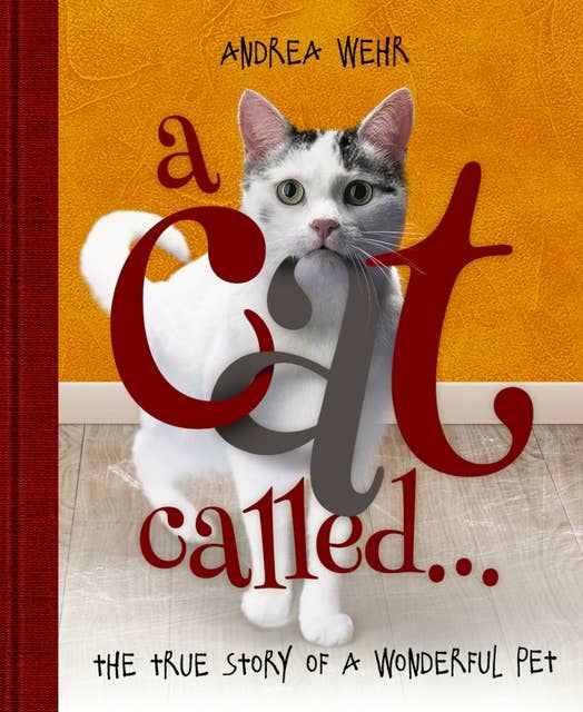 A Cat Called...: The true story of a wonderful pet