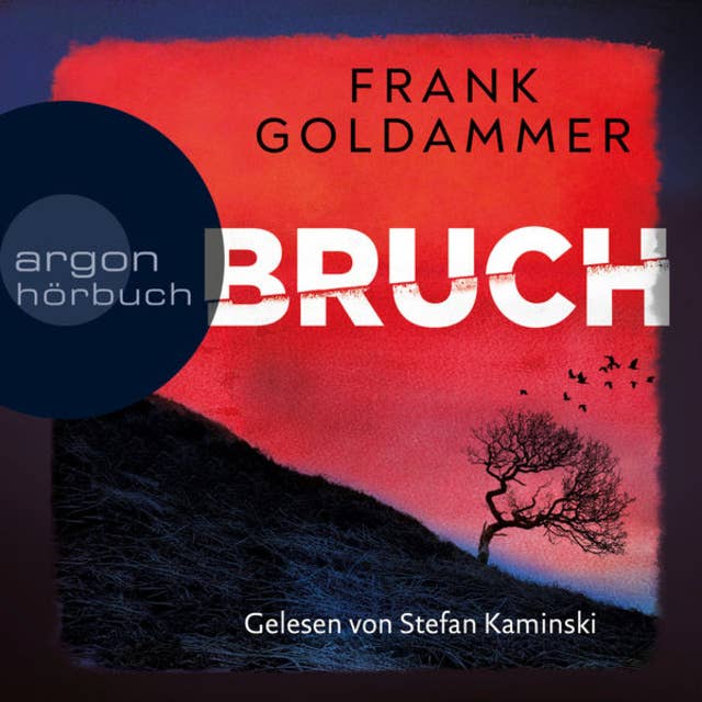 Bruch - Ein dunkler Ort - Felix Bruch, Band 1 (Ungekürzte Lesung)