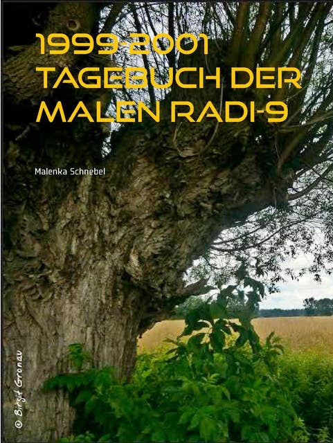 1999-2001 Tagebuch der Malen Radi-9: Flucht nach Brasilien.