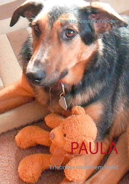 Paula: Erlebnisse mit einem Hund