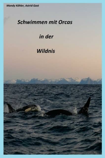 Schwimmen mit Orcas in der Wildnis: Schwimmen mit Walen