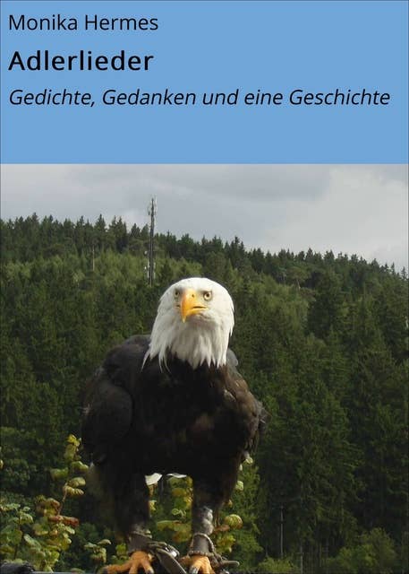 Adlerlieder: Gedichte, Gedanken und eine Geschichte