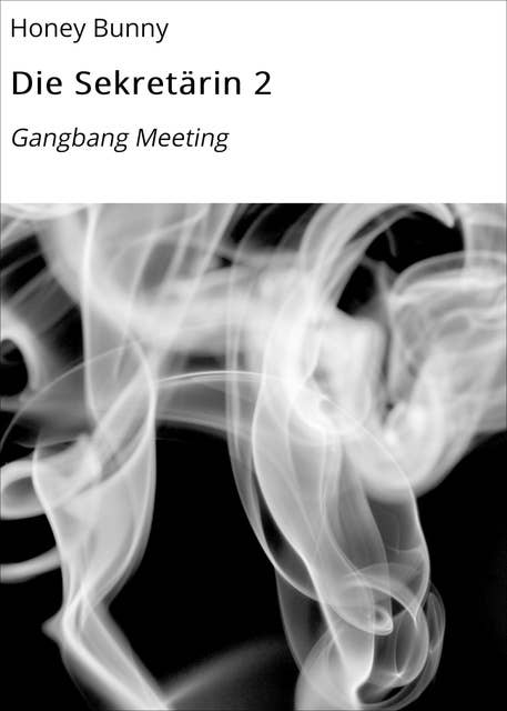 Die Sekretärin 2: Gangbang Meeting