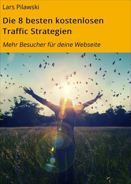 Die 8 besten kostenlosen Traffic Strategien: Mehr Besucher für deine Webseite
