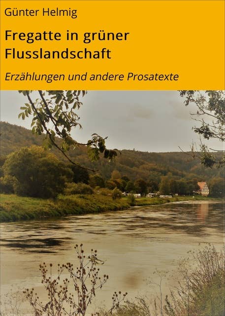Fregatte in grüner Flusslandschaft: Erzählungen und andere Prosatexte