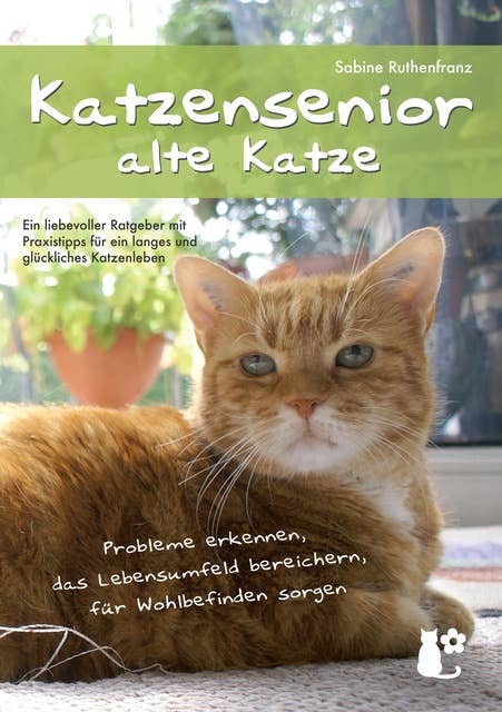 Katzensenior - alte Katze: Probleme erkennen, das Lebensumfeld bereichern, für Wohlbefinden sorgen