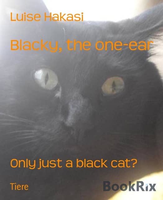 Blacky, the One-ear: Only just a black cat?