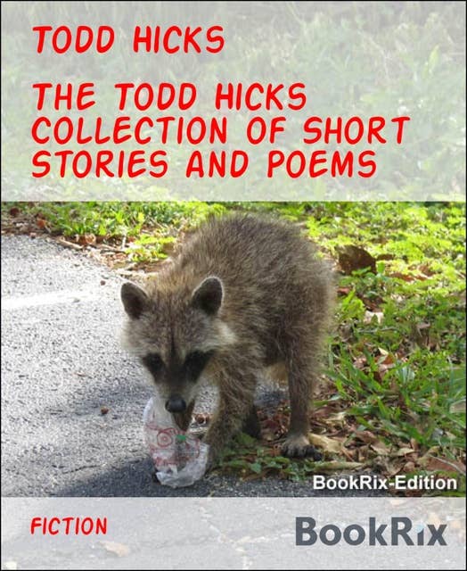 The Todd Hicks Collection of Short Stories and Poems