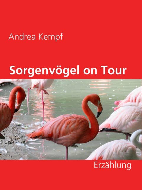 Sorgenvögel on Tour: Erzählung