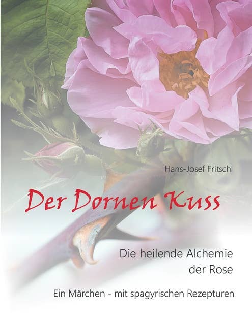 Der Dornen Kuss: Die heilende Alchemie der Rose