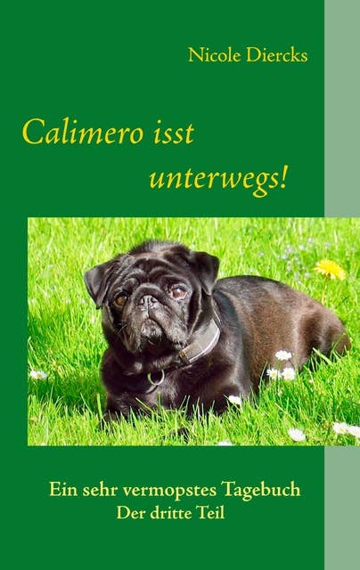 Calimero isst unterwegs!: Ein sehr vermopstes Tagebuch