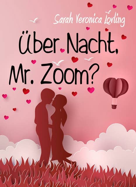 Über Nacht, Mr. Zoom?: Liebesroman