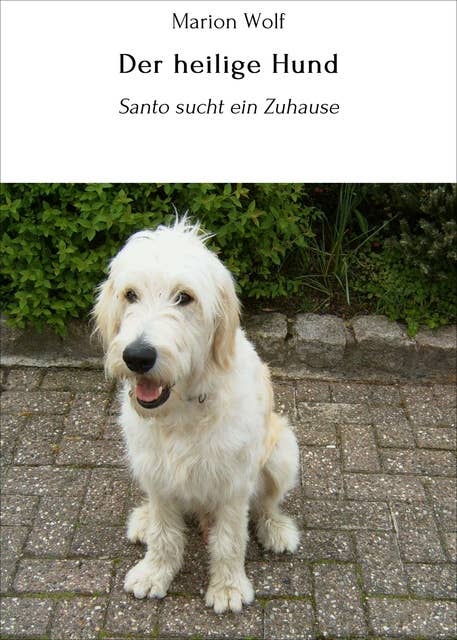 Der heilige Hund: Santo sucht ein Zuhause