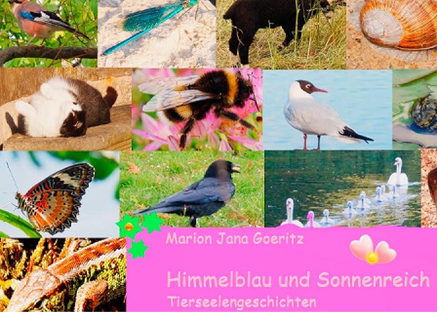 Himmelblau und Sonnenreich: Tierseelengeschichten
