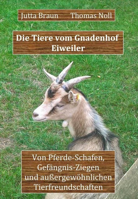 Die Tiere vom Gnadenhof Eiweiler: Von Pferde-Schafen, Gefängnis-Ziegen und außergewöhnlichen Tierfreundschaften