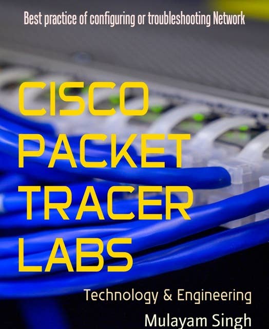 CISCO PACKET TRACER LABS: Best practice of configuring or troubleshooting Network