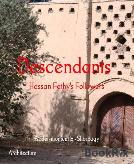 Descendants: Hassan Fathy's Followers