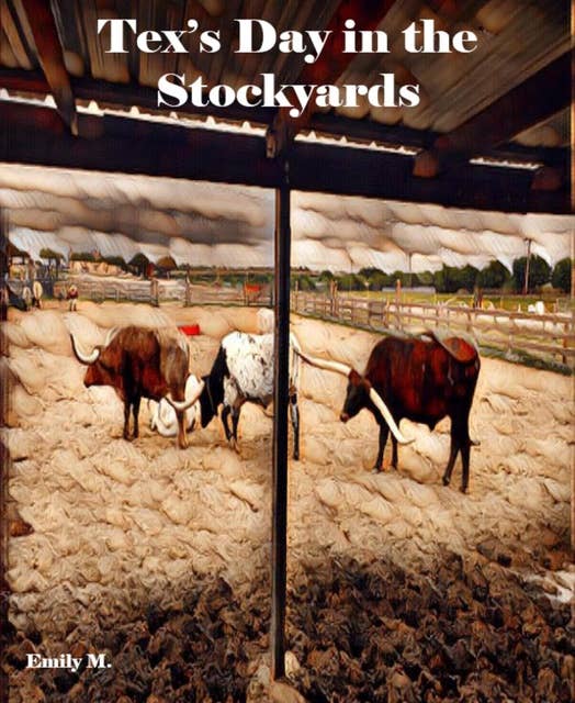 Tex's Day at the Stock Yards: Old West Style