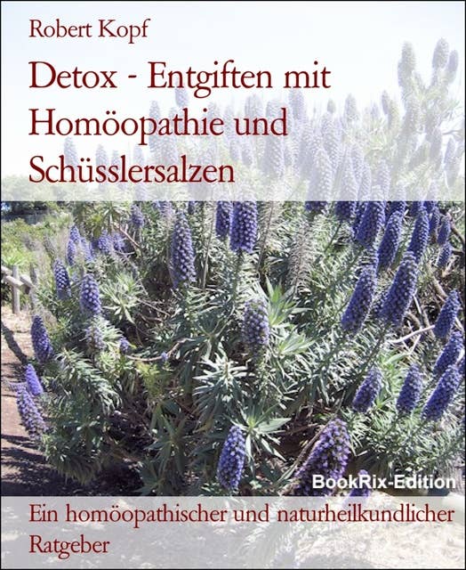 Detox - Entgiften mit Homöopathie und Schüsslersalzen: Ein homöopathischer und naturheilkundlicher Ratgeber
