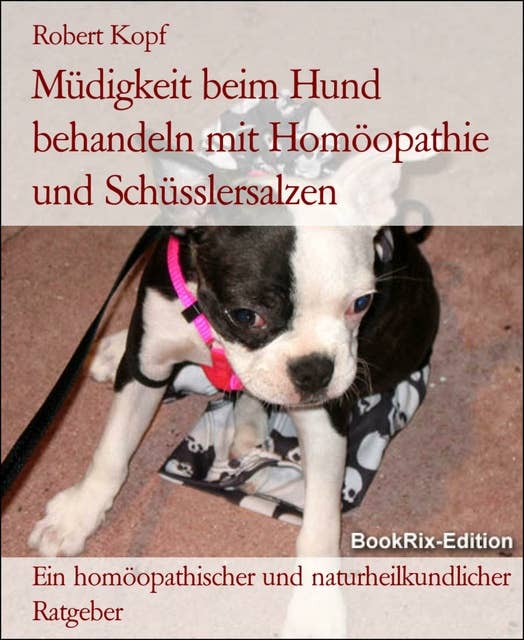 Müdigkeit beim Hund behandeln mit Homöopathie und Schüsslersalzen: Ein homöopathischer und naturheilkundlicher Ratgeber