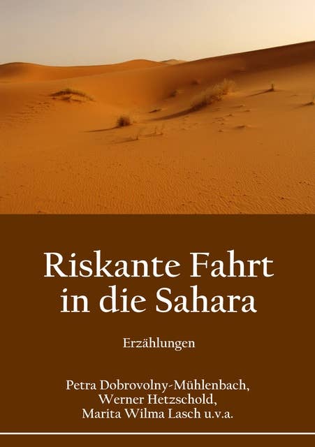 Riskante Fahrt in die Sahara: Erzählungen