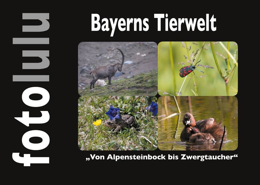 Bayerns Tierwelt: Von Alpensteinbock bis Zwergtaucher