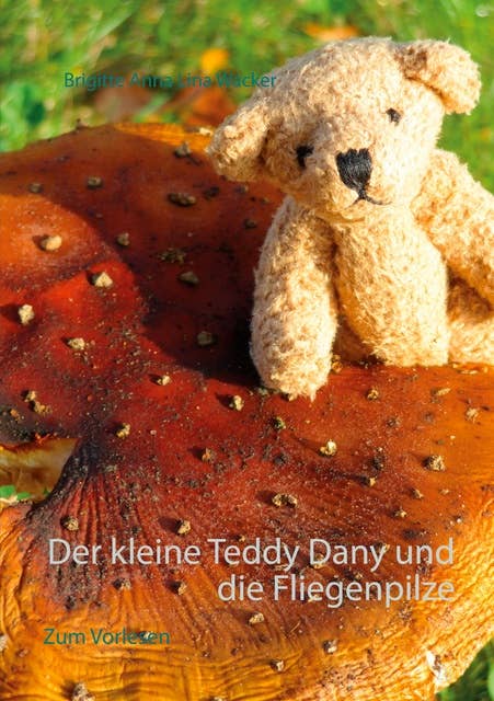 Der kleine Teddy Dany und die Fliegenpilze: zum Vorlesen