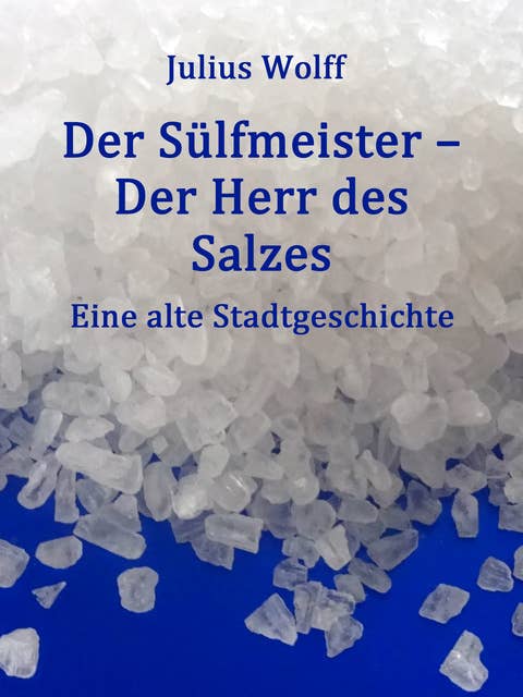 Der Sülfmeister: Der Herr des Salzes (Historischer Roman)