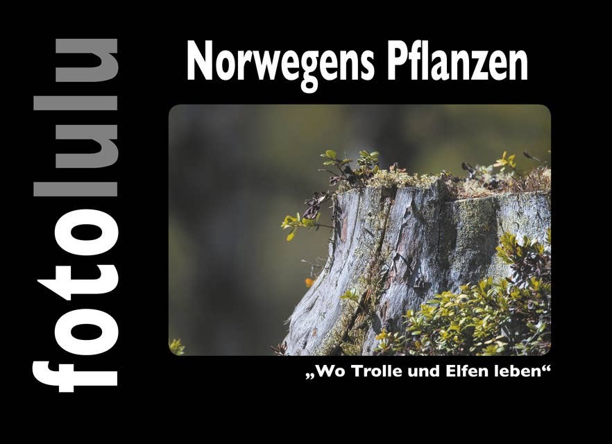 Norwegens Pflanzen: "Wo Trolle und Elfen leben"