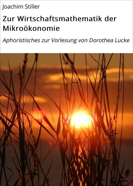 Zur Wirtschaftsmathematik der Mikroökonomie: Aphoristisches zur Vorlesung von Dorothea Lucke