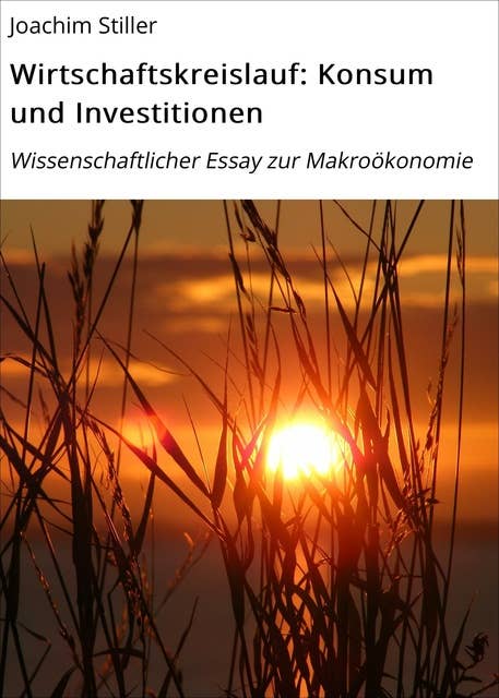 Wirtschaftskreislauf: Konsum und Investitionen: Wissenschaftlicher Essay zur Makroökonomie