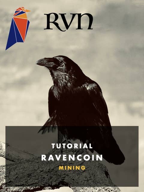 RVN Ravencoin Mining: Passives Einkommen durch Kryptowährung