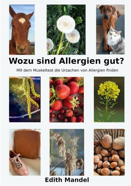 Wozu sind Allergien gut?: Mit dem Muskeltest die Ursachen von Allergien finden