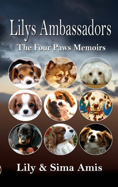 Lilys Ambassadors: The Four Paws Memoirs