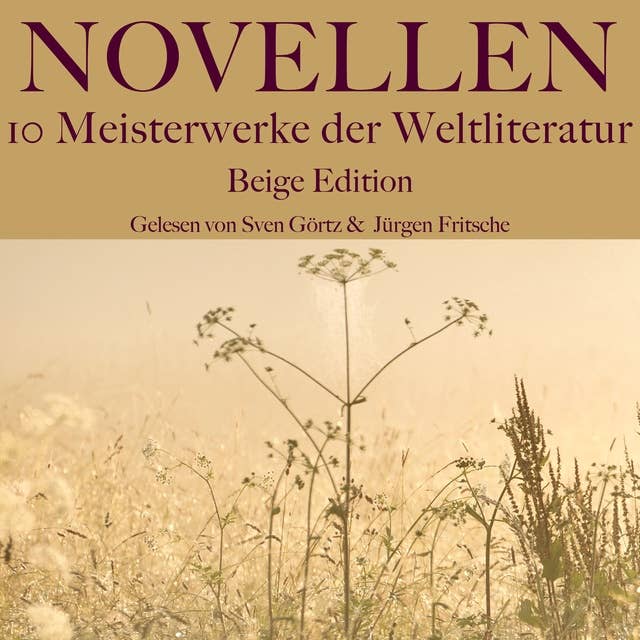 Novellen: Zehn Meisterwerke der Weltliteratur: Graue Edition