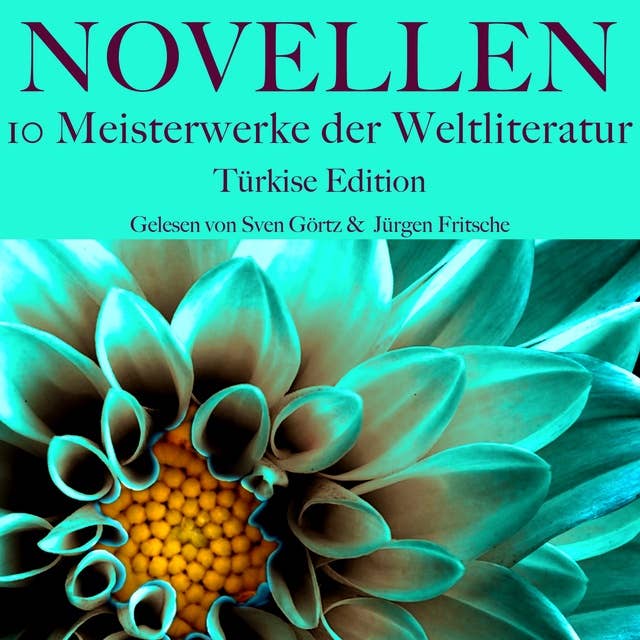 Novellen: Zehn Meisterwerke der Weltliteratur: Türkise Edition