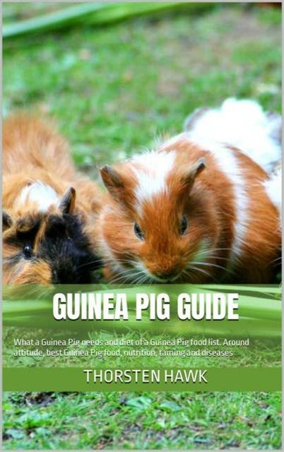 Guinea Pig Guide: Around attitude, food, nutrition, taming and diseases