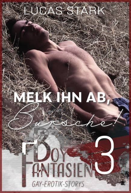 Melk ihn ab, Bursche!: Boy Fantasien 3 (Gay-Erotik-Storys)