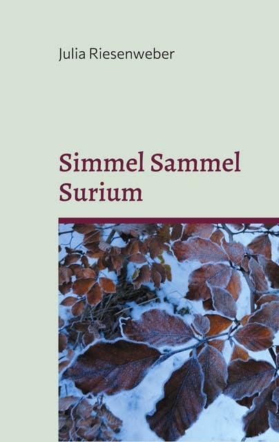 Simmel Sammel Surium: Einfühlsame Kurzgeschichten für kleine und große Leseratten