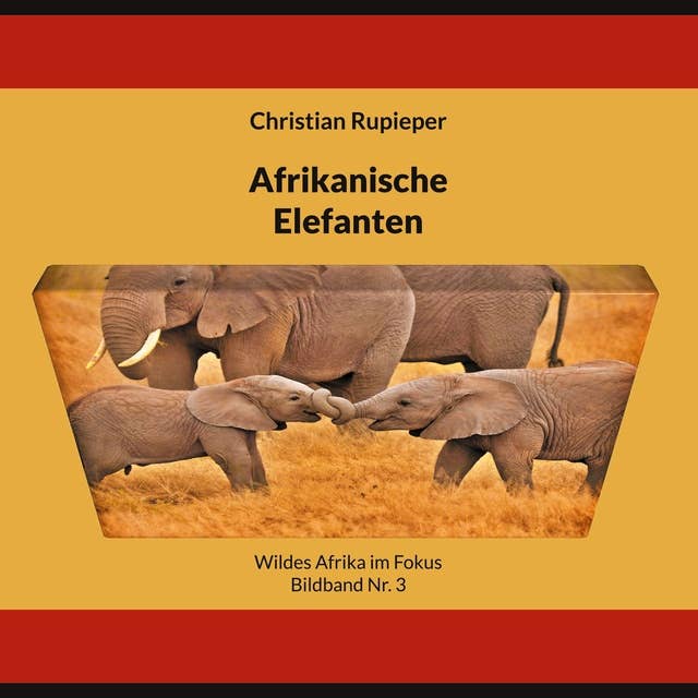 Afrikanische Elefanten: Wildes Afrika im Fokus - Bildband Nr. 3