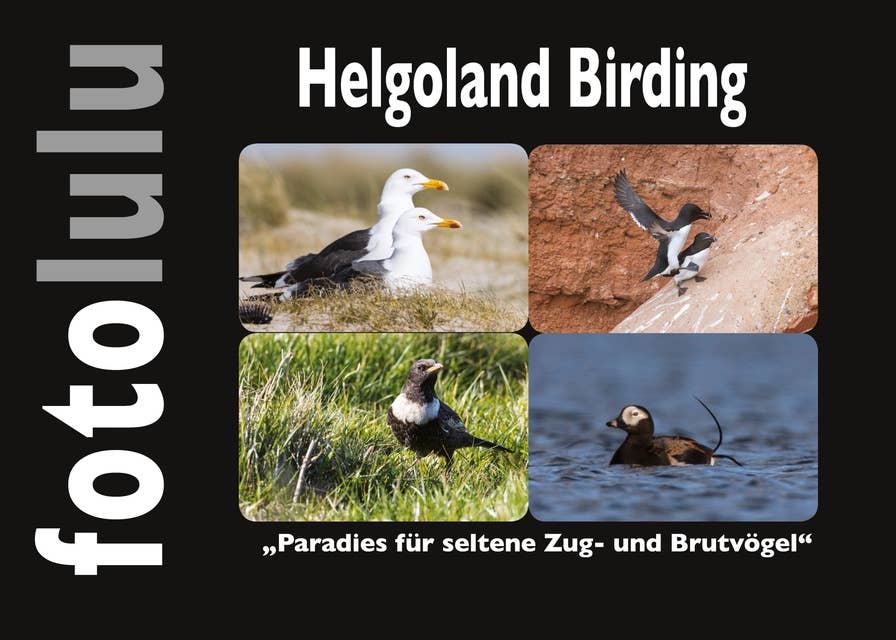 Helgoland Birding: Paradies für seltene Zug- und Brutvögel