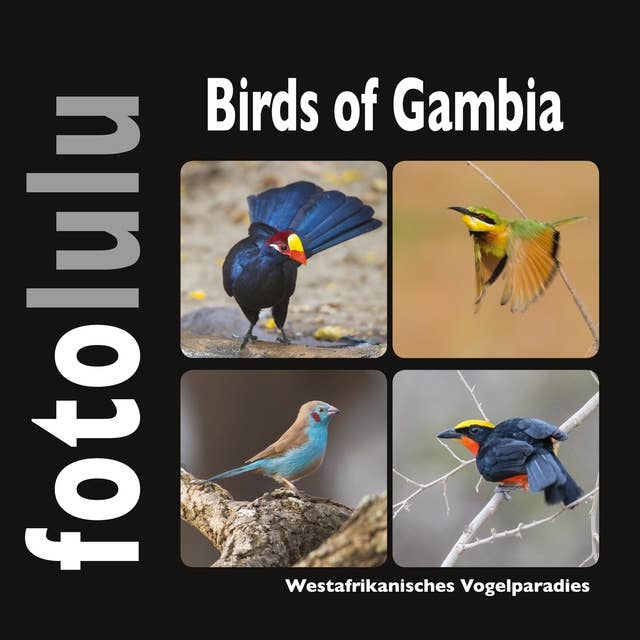 Birds of Gambia: Westafrikanisches Vogelparadies