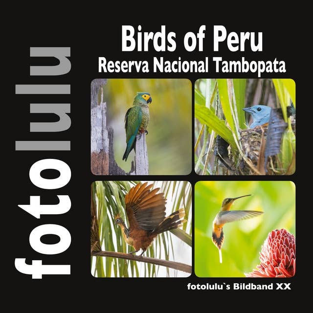 Birds of Peru: Reserva Nacional Tambopata