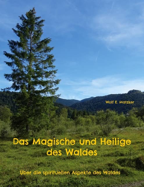 Das Magische und Heilige des Waldes: Über die spirituellen Aspekte des Waldes