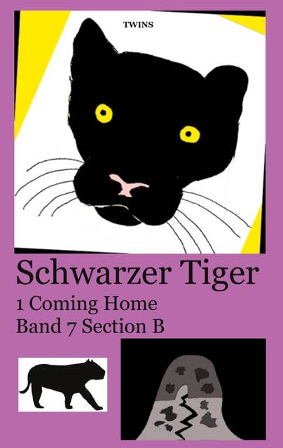 Schwarzer Tiger 1 Coming Home: Band 7 Section B