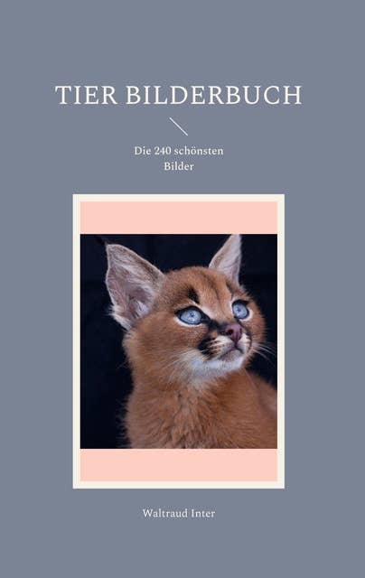 Tier Bilderbuch: Die 240 schönsten Bilder